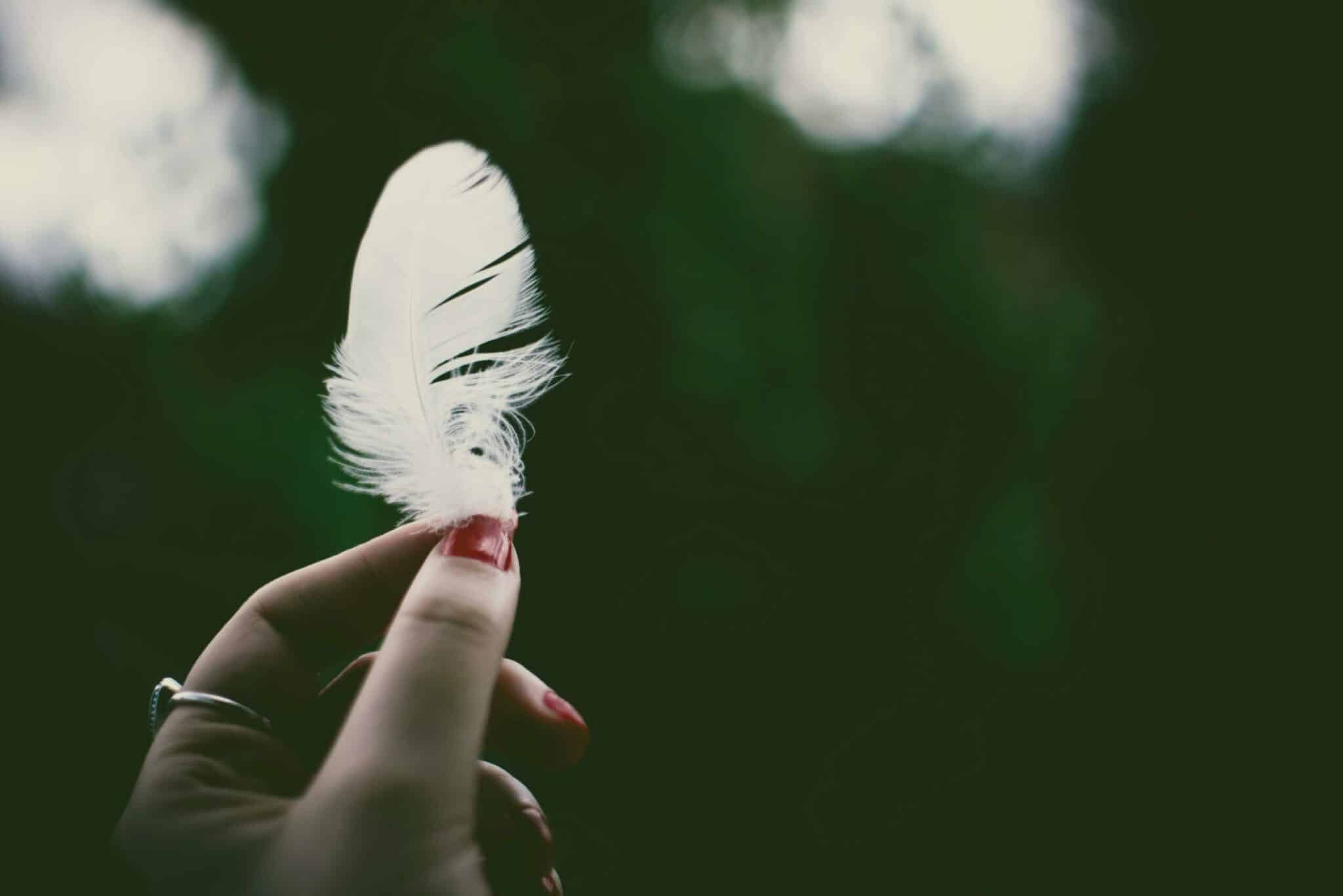 What Does Bird Feather Mean Spiritually: Unlocking Divine Messages