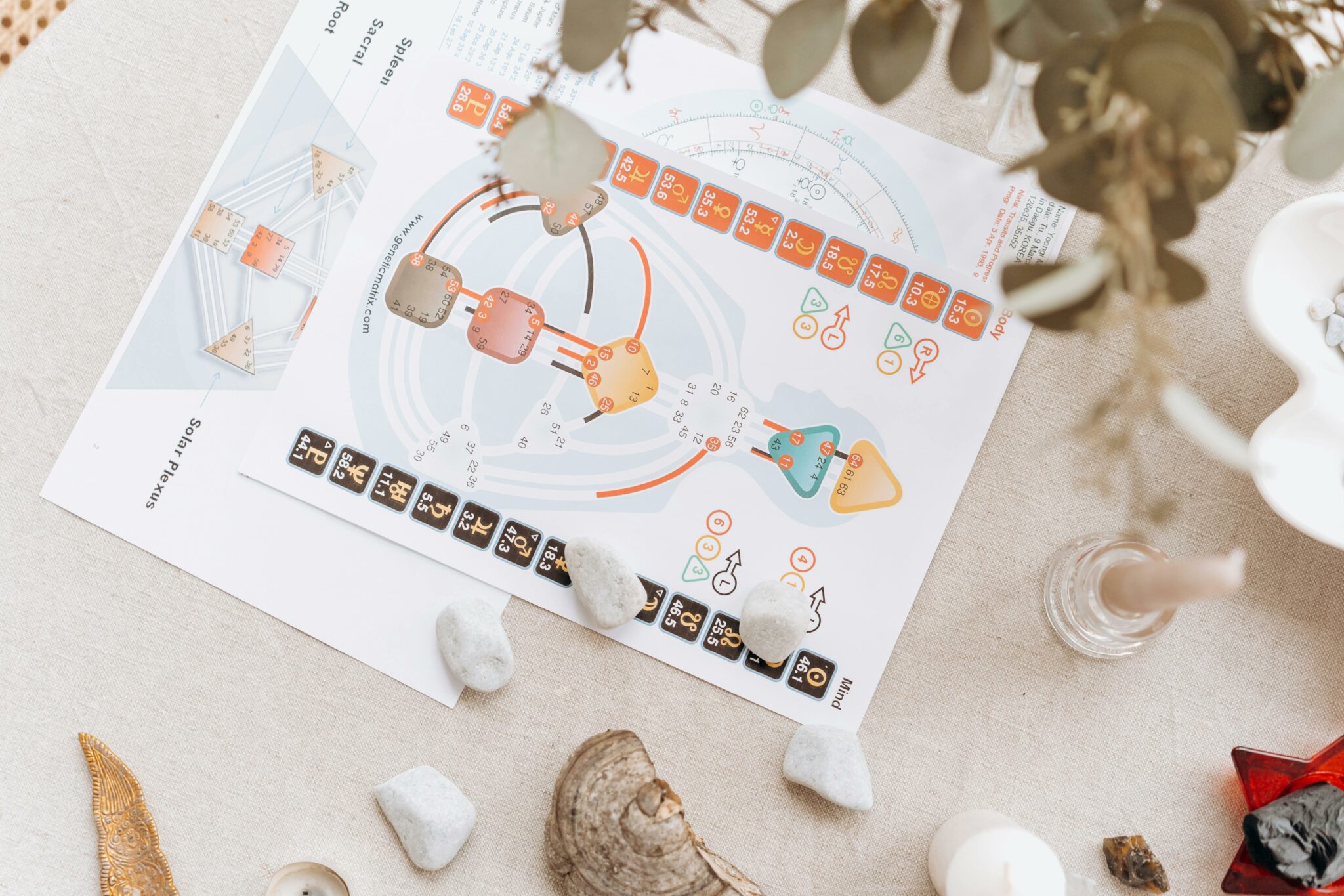 introduction to chakras
