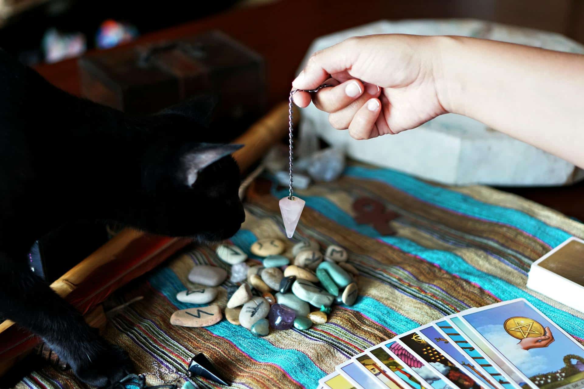 Purple Garden vs Mysticsense